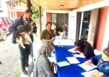 En Sagrada Familia realizan operativo de atención veterinaria con recursos de Subdere