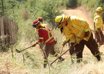 Conaf realizó cortafuegos en Santa Olga