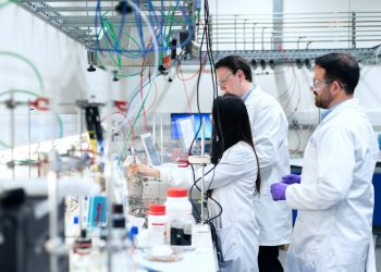 Macrozona Centro Sur se adjudica 131 proyectos de Fondecyt de Iniciación y Postdoctorado