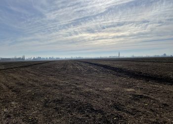 Ya se encuentran abiertos los concursos del programa de recuperación de suelos del SAG