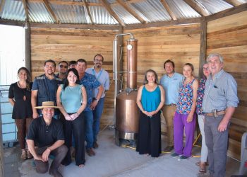 Viñateros de San Javier diversifican sus productos gracias al apoyo del Gobierno Regional e INDAP