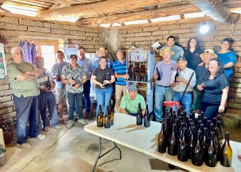 Apoyo del FOSIS permite a viñateros mejorar la calidad y optimizar la producción de sus vinos de origen centenario