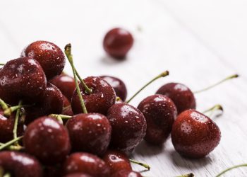 Cerezas chilenas logran récord de envíos durante enero de 2024, con montos por US$1.555 millones