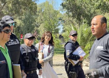 Operativos de Fiscalización Garantizan un Turismo Seguro en la Región del Maule durante Temporada Estival 2024