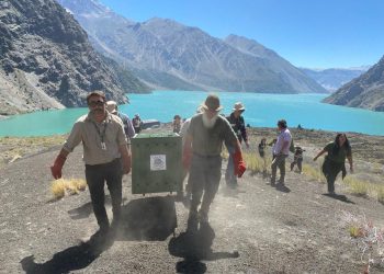 Liberan a cóndor en laguna La Invernada