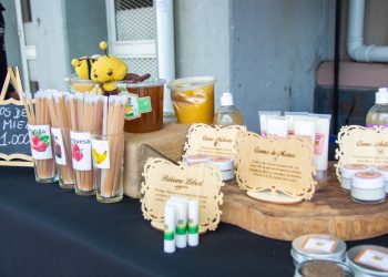 Comienza Feria INDAP en Mall Curicó para apoyar a emprendedores