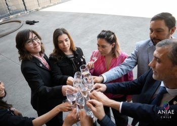 Asociación de Ingenieros Agrónomos Enólogos visibiliza evolución del rol de las mujeres y su alcance en la industria del vino