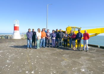 Luz verde para 3 nuevas grúas para mejorar desembarque en la caleta Maguillines de Constitución