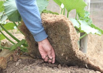 Centro de Extensión en Agroecología en Chile para promover la economía circular