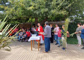 Celebración de Domingo de Ramos marca inicio de la Semana Santa: Horario de todas las misas en Talca y Curicó