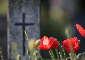 Dueño de funeraria condenado por falsificar certificados de defunción