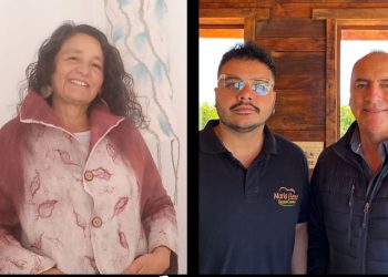 Chancho a la chilena con sabor casero y fieltros y teñidos amigables con el medio ambiente