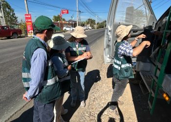 Autoridades supervisan transporte de uva en fiscalización carretera