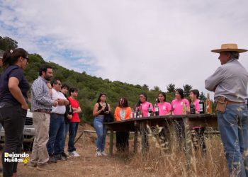 UTalcaTV estrena renovada programación 2024