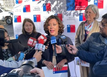 Comenzó a regir prohibición de emitir humos visibles desde las viviendas en Talca y Maule