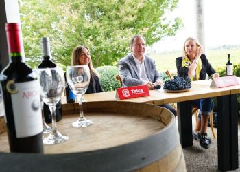 Más de 30 viñas del Maule serán las protagonistas en el Boulevard del Vino 2024