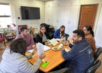 Mil animales de compañía serán esterilizados en San Clemente con recursos de Subdere