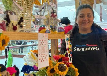 Programa Mujer Emprende de SernamEG cierra postulaciones en el Maule este viernes