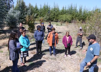 Agricultores de Rauco y Hualañé participaron en jornada de capacitación