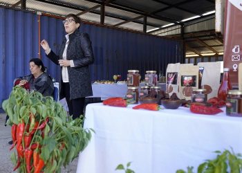 Se inició la temporada de ahumado de ají en zarandas en Palmilla