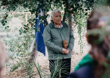 Autoridad Sanitaria avanza en implementación de salud con pertinencia cultural