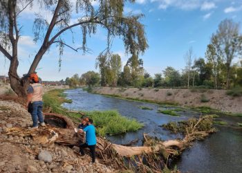 Municipalidad de Curicó inicia trabajos de limpieza en el borde del río Guaiquillo