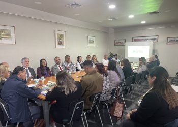 Buscan mejorar seguridad en sector del óvalo de la Alameda Manso de Velasco de Curicó