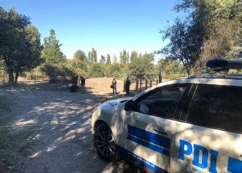 En prisión imputado por matar a sujeto que habría estado robando nueces en fundo