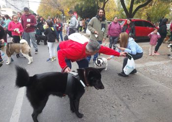 Exitosa caminata familiar canina organizada por Carabineros