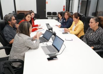 En Molina se inicia proyecto de investigación sobre violencia contra la mujer en el Maule