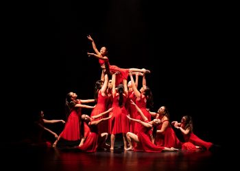 Con Gala Regional se celebrará en el Maule el Día Internacional de la Danza