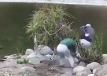 Alcalde de Linares repudia hechos que afectaron a un adulto mayor y su nieta en la ribera del río