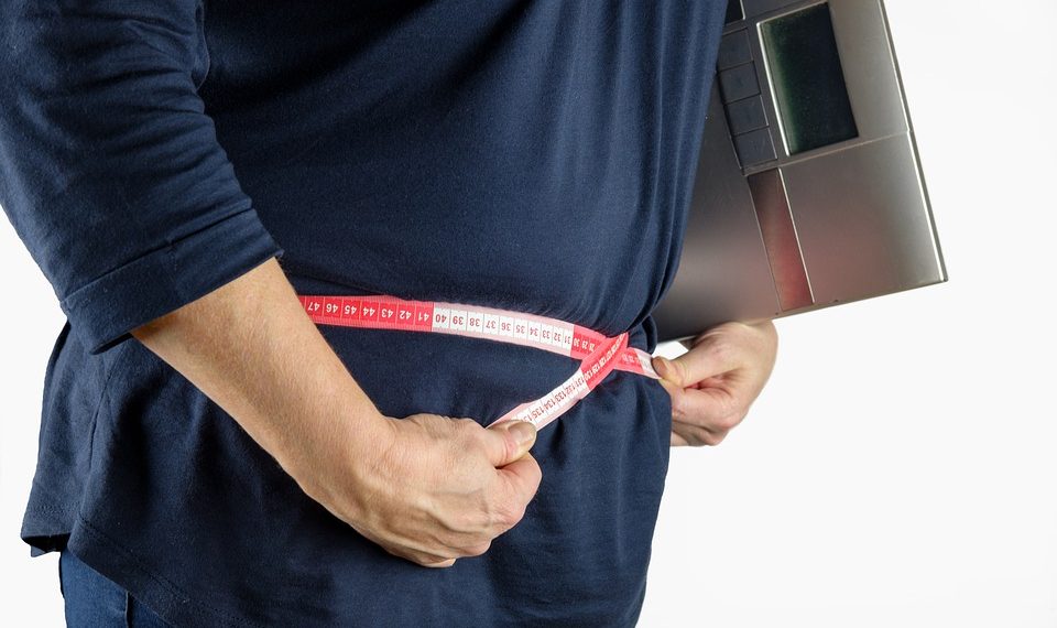 Mapa Nutricional de Junaeb: Sobrepeso y obesidad disminuyó en 3 puntos porcentuales en estudiantes del país