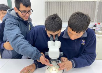 Red de académicos universitarios impulsará la investigación escolar en el Maule