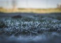 Alertan sobre el daño de las heladas tempranas a la agricultura