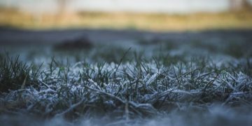 Alertan sobre el daño de las heladas tempranas a la agricultura