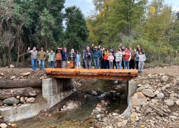 Vecinos de la localidad cordillerana de Riquelme de Longaví inauguraron puente