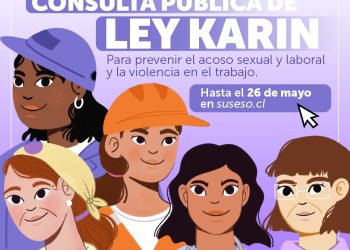 Ley Karin: Seremi del Trabajo del Maule realiza llamado a participar de Consulta Pública