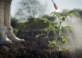 UCM desarrolla nueva herramienta para el cuidado de la salud de trabajadores/as agrícolas frente a los pesticidas