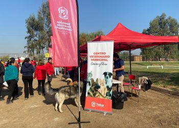 Municipalidad de Talca desplegará operativo con diversos servicios en sector Las Américas
