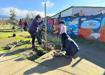 Municipalidad de Talca y agrupación CENEU: Con 50 árboles nativos reforestan Parque Padre Hurtado