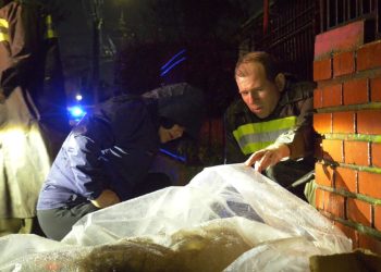 Ante bajas temperaturas activan Código Azul en Talca y Curicó