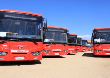 Más de 125.500 personas han utilizado gratuitamente los buses eléctricos durante el primer semestre del 2024
