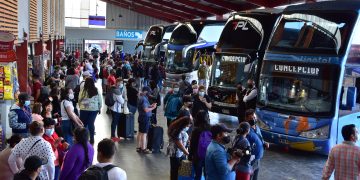 Radiografía a los usuarios de buses interurbanos: precio, calidad y confianza lideran las preferencias a la hora de comprar