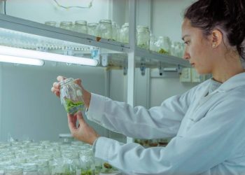 UCM organiza seminario de Ciencia Abierta en Talca y Curicó