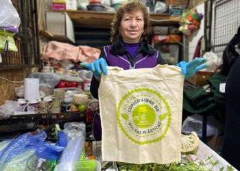 Campaña educativa en Curicó para recordar que bolsas plásticas están prohibidas en el comercio