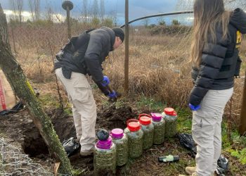Encuentran más de 20 kilos de cannabis enterrados en una parcela de Retiro