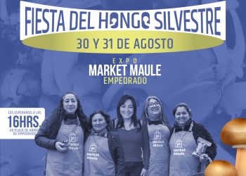 Empedrado tendrá dos jornadas con su Fiesta del Hongo Silvestre