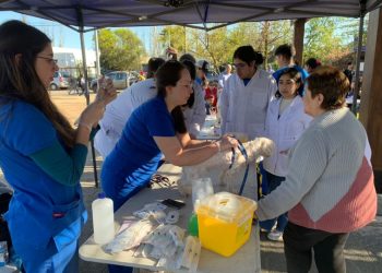 Más de 1500 animales han recibido atención médica en el Maule gracias al programa “Una Salud” de la UST