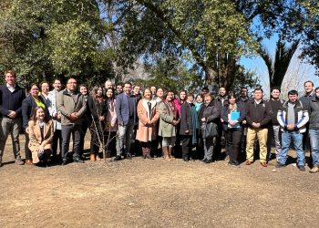 Fundación Educacional Arauco comparte herramientas para mejorar la lectura